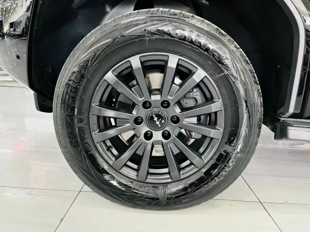 BYD FangChengBao Leopard 5 — Фото автомобиля 13