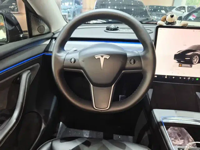 Tesla Model Y — Фото автомобиля 10