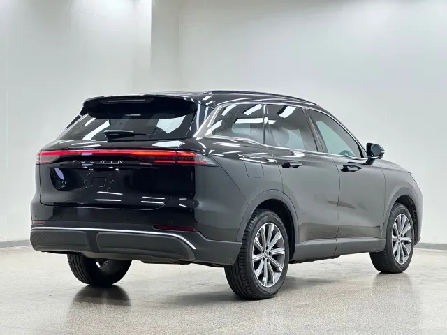Chery Fulwin T9 — Фото автомобиля 6