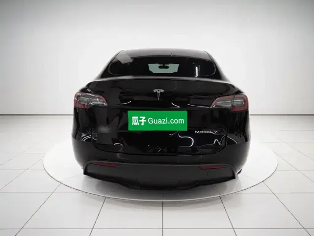 Tesla Model Y — Фото автомобиля 3