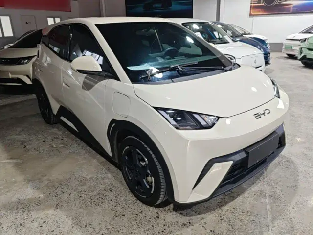 BYD Seagull — Фото автомобиля 3