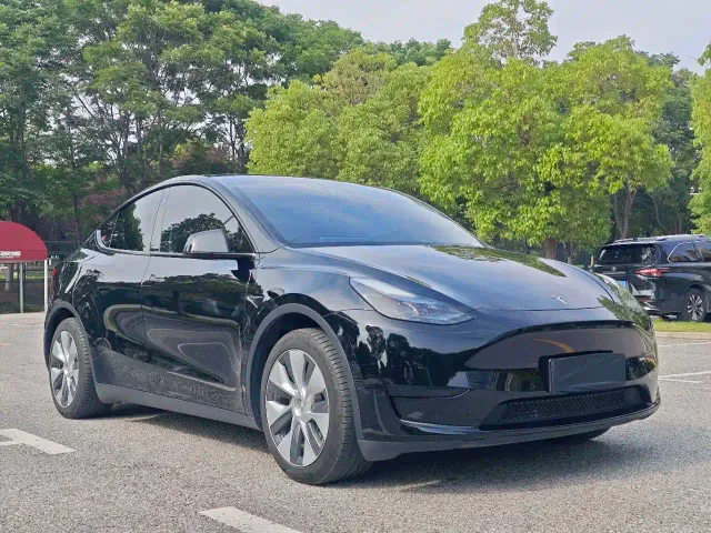 Tesla Model Y — Фото автомобиля 3
