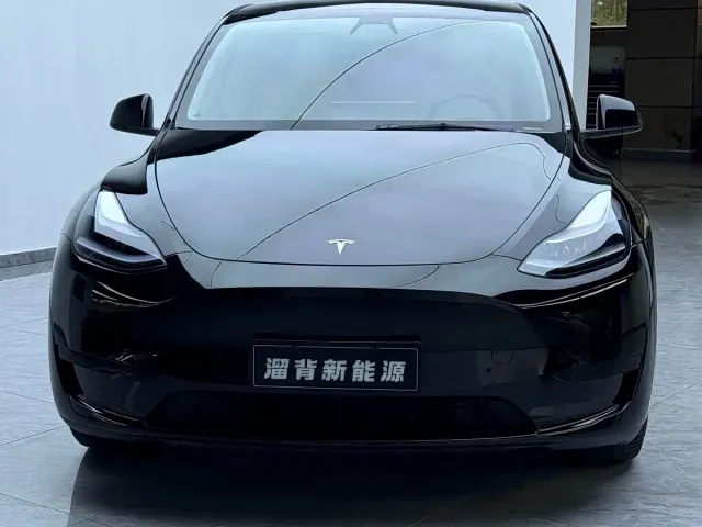 Tesla Model Y — Фото автомобиля 3