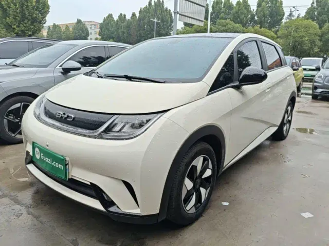 Фотография автомобиля — BYD Dolphin
