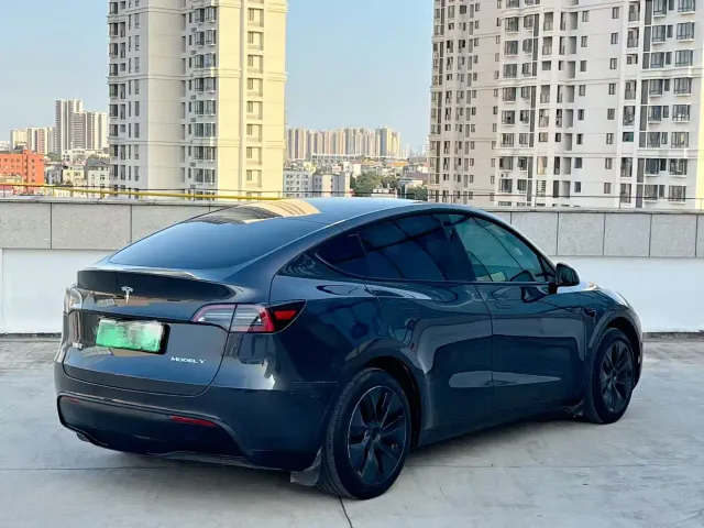 Tesla Model Y — Фото автомобиля 3