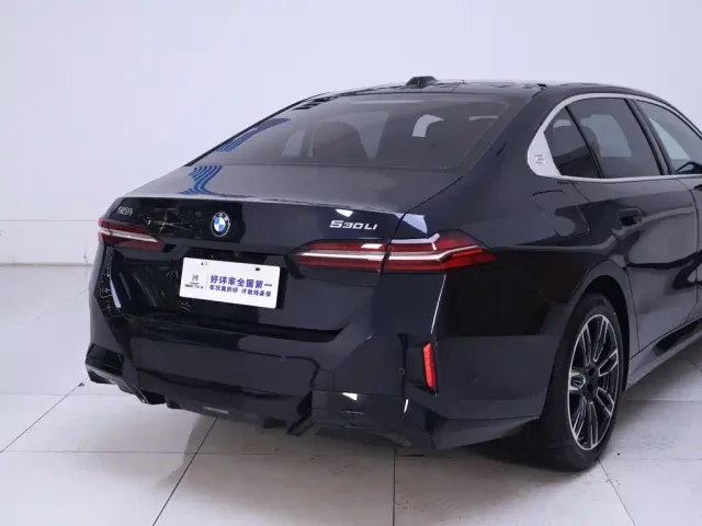 BMW 5 Series — Фото автомобиля 8