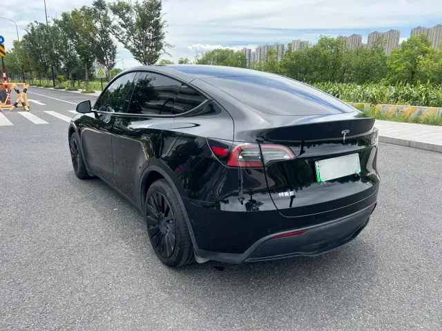 Tesla Model Y — Фото автомобиля 6