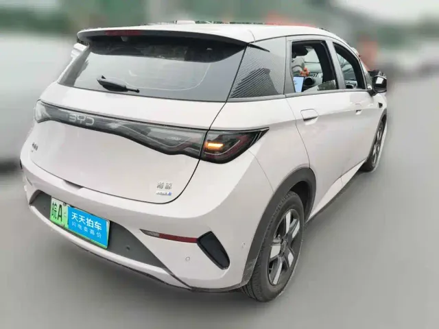 BYD Dolphin — Фото автомобиля 2