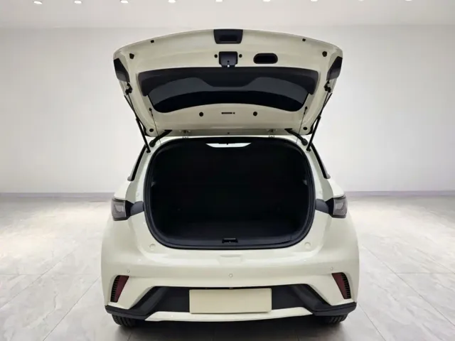 BYD Dolphin — Фото автомобиля 11