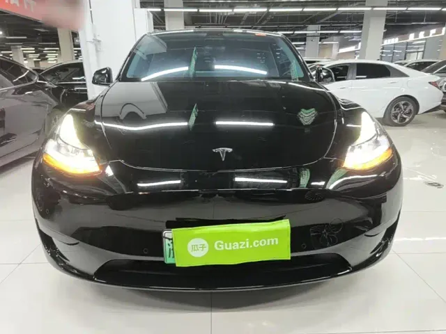 Tesla Model Y — Фото автомобиля 2