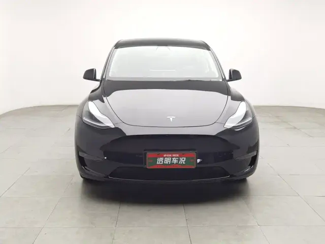 Tesla Model Y — Фото автомобиля 3