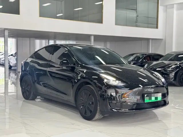Tesla Model Y — Фото автомобиля 3