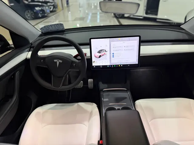 Tesla Model Y 2022 Performance High-Performance All-Wheel Drive Version — Фото автомобиля 6