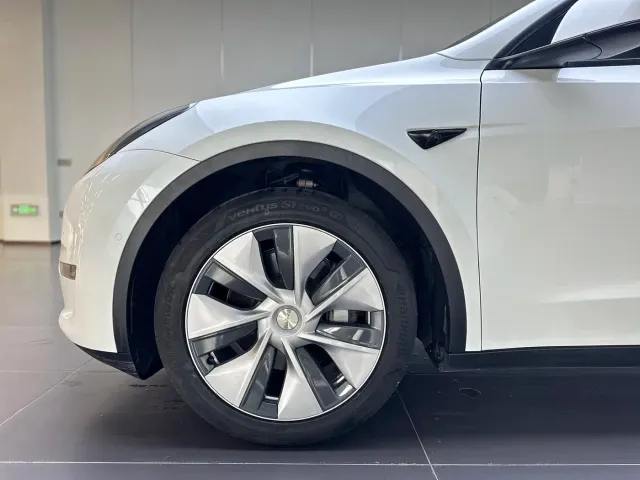 Tesla Model Y — Фото автомобиля 8