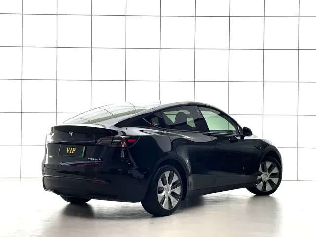 Tesla Model Y 2021 Standard Range Rear-Wheel Drive — Фото автомобиля 11