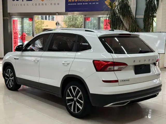 Skoda Kamiq — Фото автомобиля 6