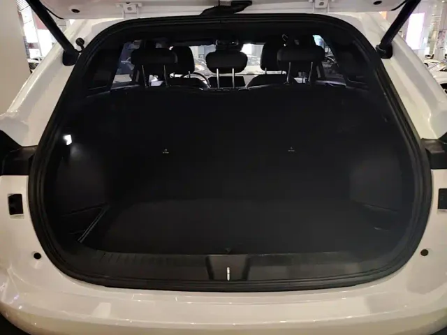 Haval Shenshou — Фото автомобиля 18