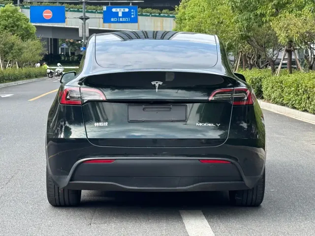 Tesla Model Y — Фото автомобиля 4