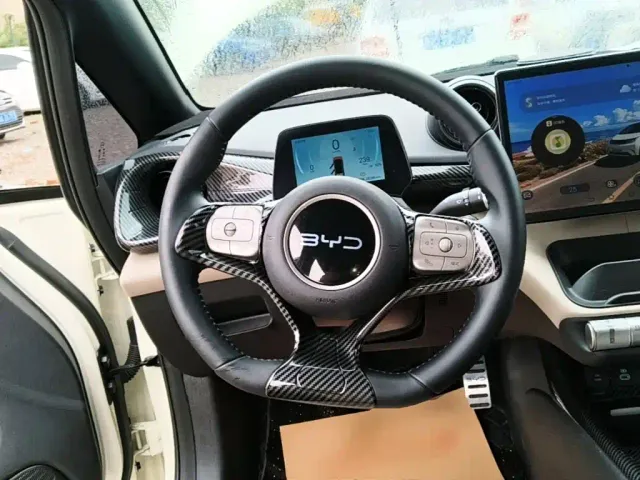 BYD Dolphin — Фото автомобиля 10