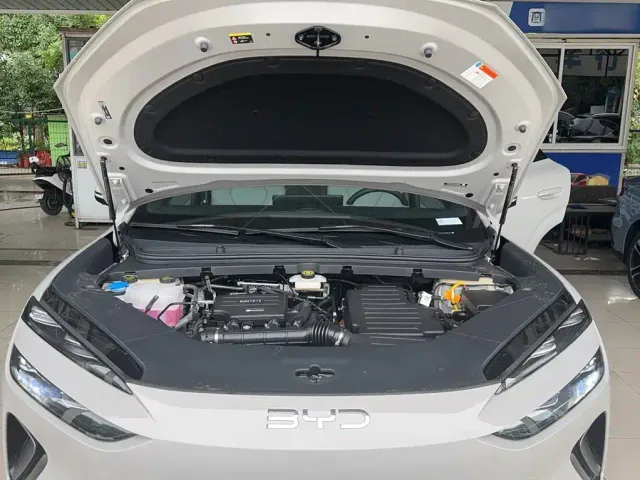 BYD Sealion 06 New Energy 2025 DM-i 170 Pilot Pro Edition — Фото автомобиля 9
