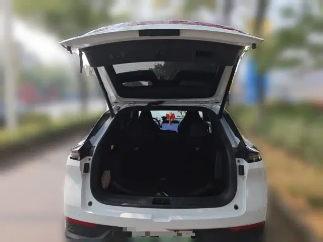 Dongfeng Fengshen L7 — Фото автомобиля 9