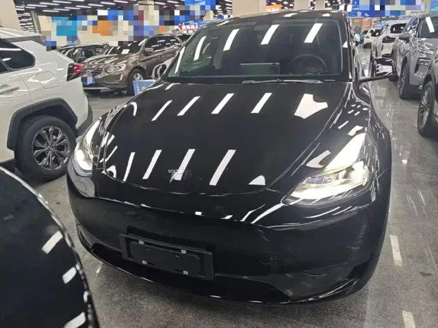 Tesla Model Y — Фото автомобиля 2