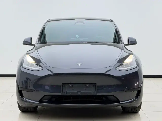 Tesla Model Y — Фото автомобиля 2