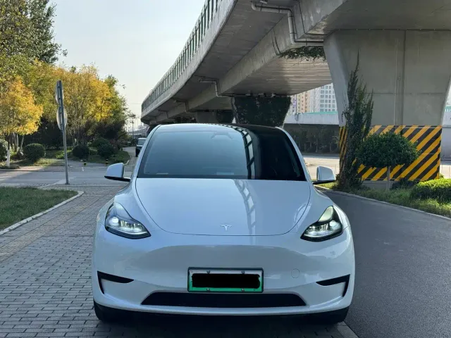 Tesla Model Y — Фото автомобиля 2