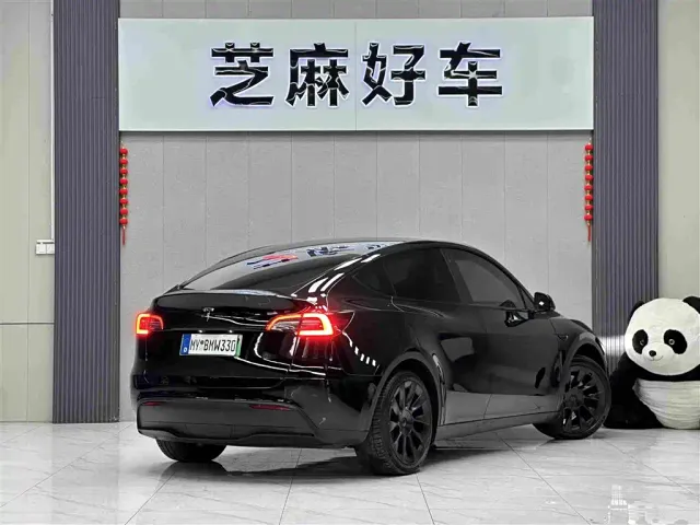 Tesla Model Y — Фото автомобиля 6