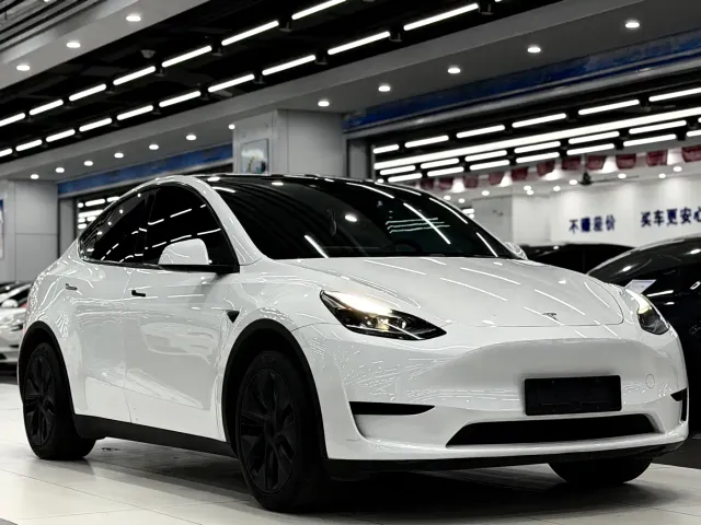 Tesla Model Y — Фото автомобиля 3
