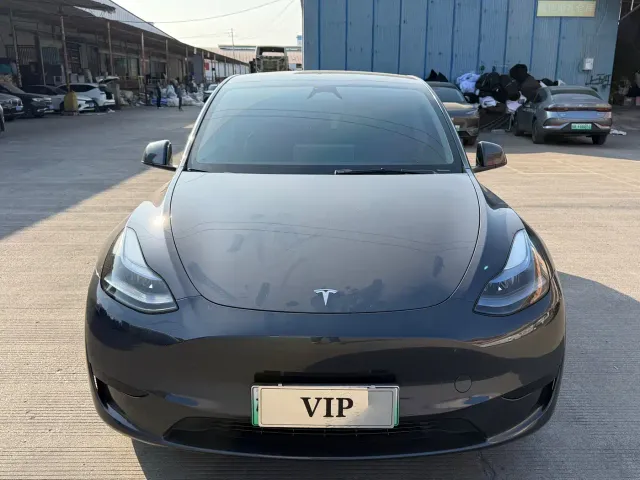 Tesla Model Y — Фото автомобиля 2