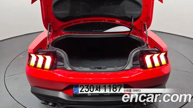 Ford Mustang — Фото автомобиля 19