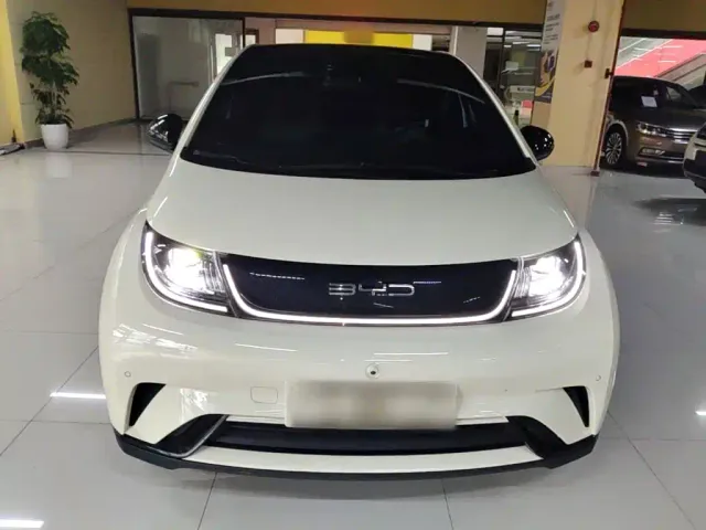BYD Dolphin — Фото автомобиля 2