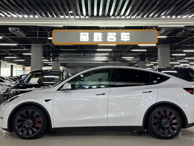 Tesla Model Y — Фото автомобиля 3