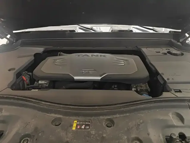 Tank Tank 700 New Energy 2024 Hi4-T Extreme Edition — Фото автомобиля 10