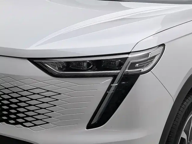Haval Xiaolong MAX — Фото автомобиля 7