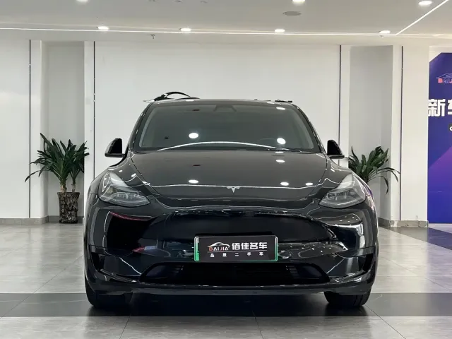 Tesla Model Y — Фото автомобиля 2