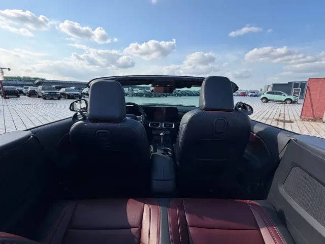 Ford Mustang — Фото автомобиля 21