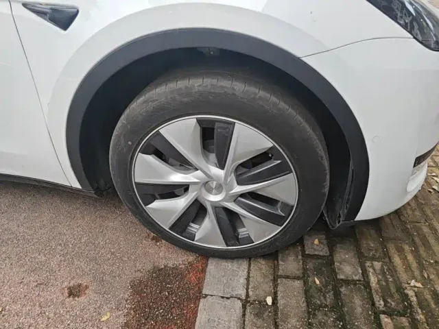 Tesla Model Y — Фото автомобиля 25
