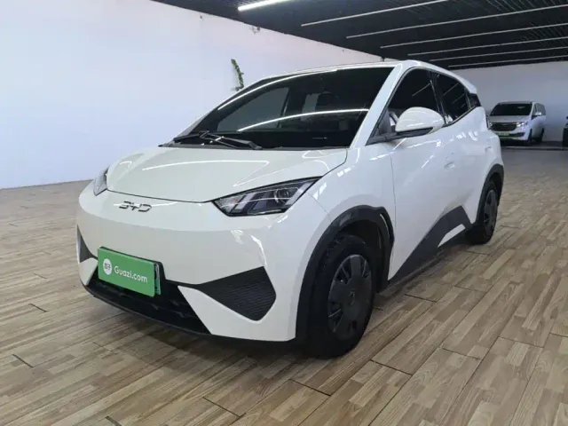 Фотография автомобиля — BYD Seagull