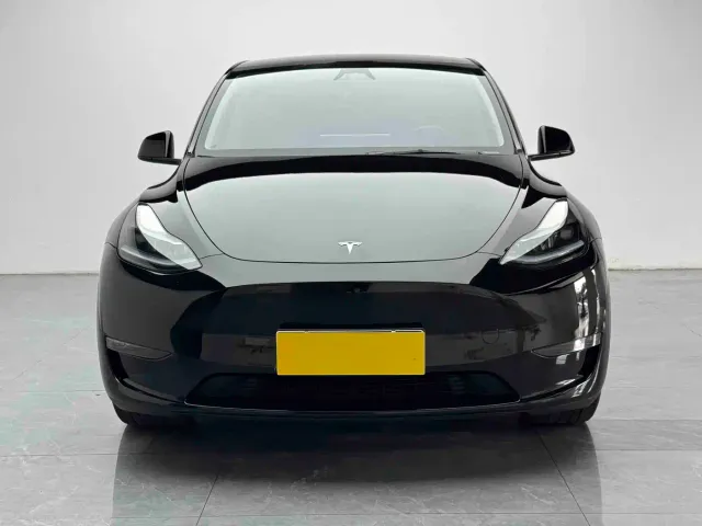 Tesla Model Y — Фото автомобиля 2