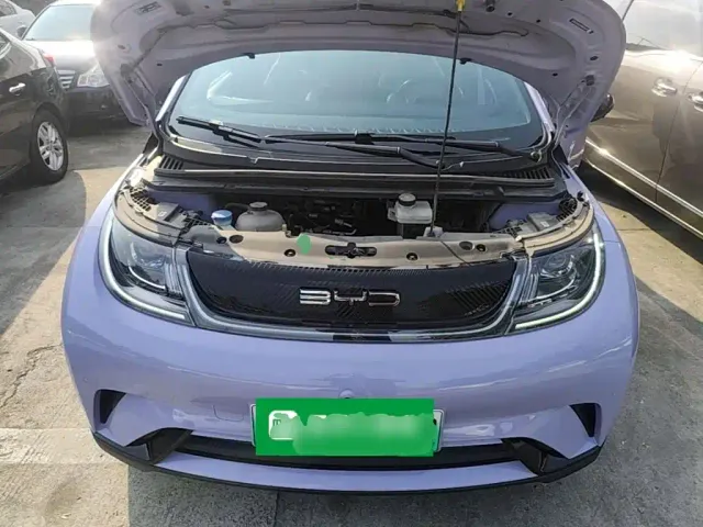 BYD Dolphin — Фото автомобиля 15