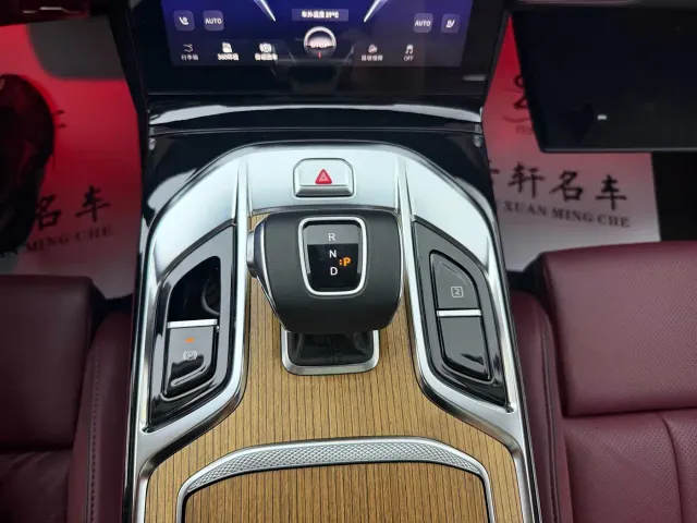 Hongqi E-HS9 — Фото автомобиля 12