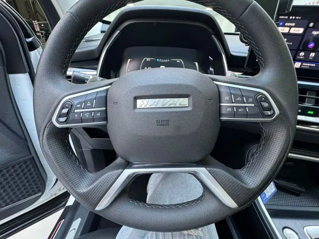 Haval Haval H6 2021 Model 1.5T Automatic Champion Edition — Фото автомобиля 17