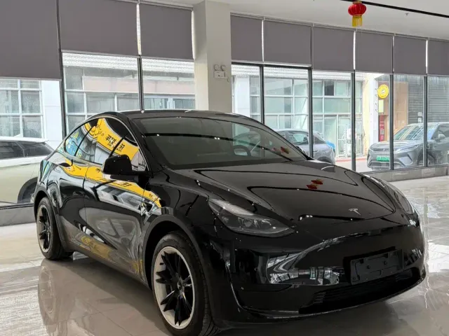 Tesla Model Y — Фото автомобиля 3