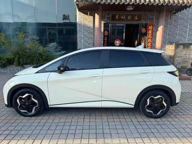 BYD Dolphin — Фото автомобиля 4