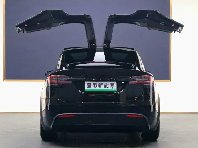 Tesla Model X — Фото автомобиля 21