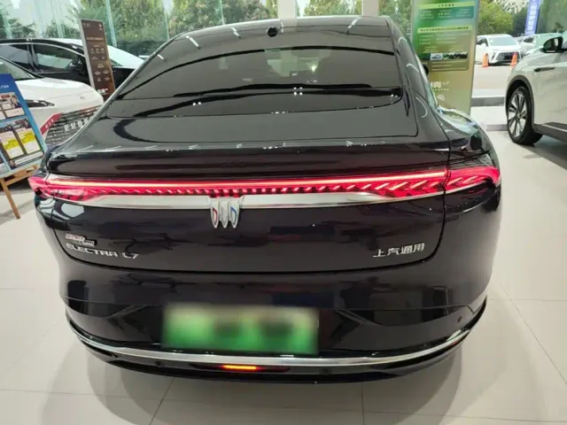 Buick Electra L7 — Фото автомобиля 5