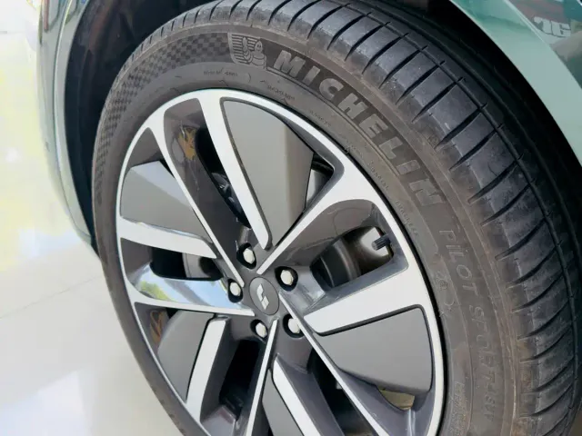 Li Auto L9 — Фото автомобиля 8