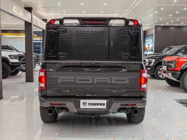 Ford F-150 Raptor — Фото автомобиля 8